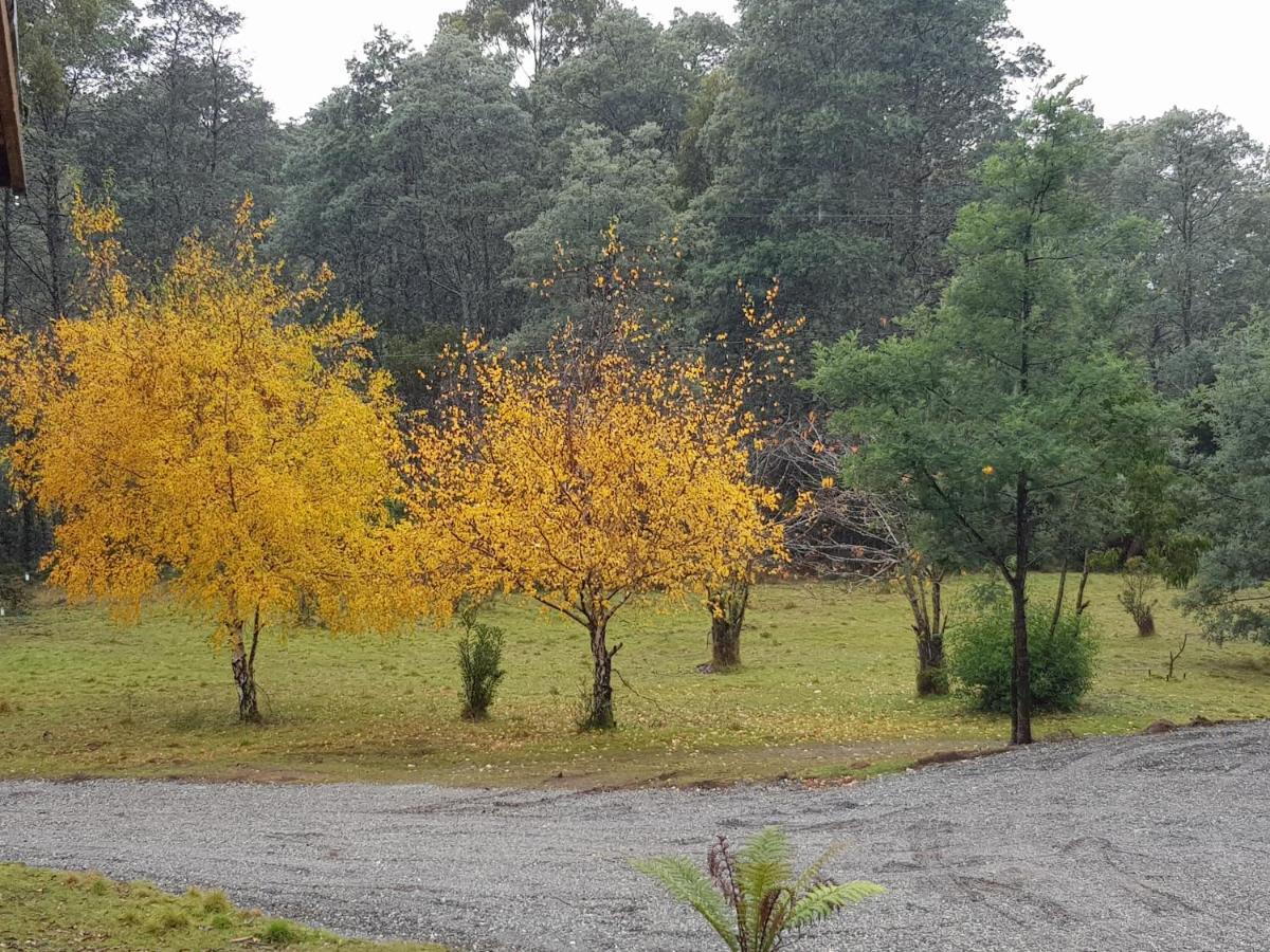Cradle Alpine Retreat Bed & Breakfast Moina Luaran gambar